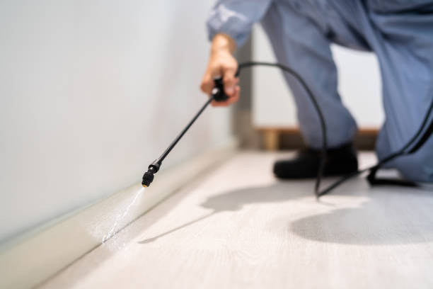Licensed Rodent Control service in Mason County County, IL - Nex Pest Control